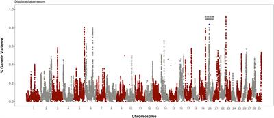 Genomic Analysis of Visceral Fat Accumulation in Holstein Cows